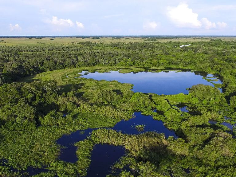 Discover The Vast Tropical Wetlands Of The Pantanal - 1