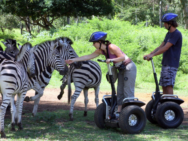 Try Casela Natural Park Segway tour - 1
