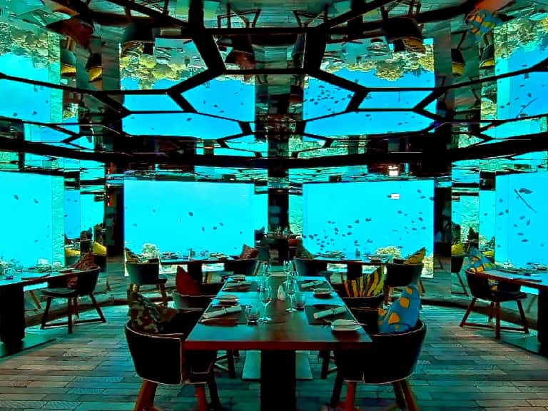 Underwater Dining Experience In Maldives in Maldives Luxury Hotel Deals