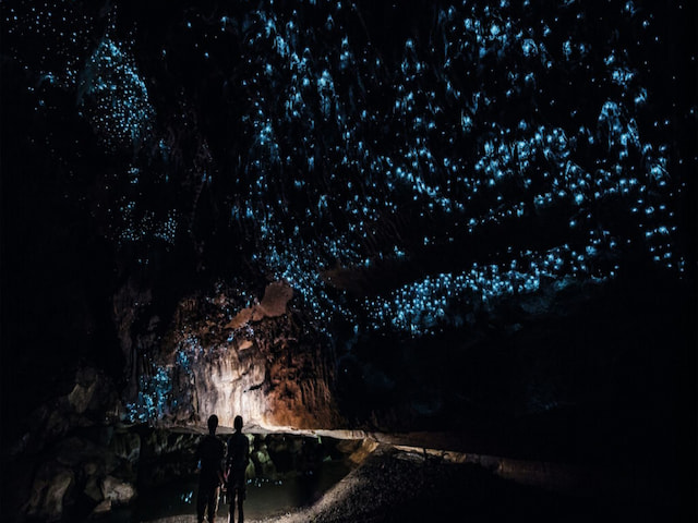 Waitomo Glowworm Caves - 1