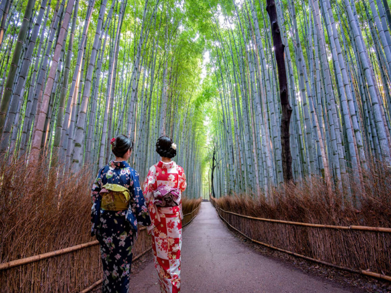 Wander through Arashiyama Bamboo Forest - 1