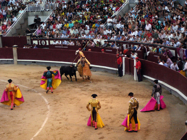 Watch a bullfight - 1