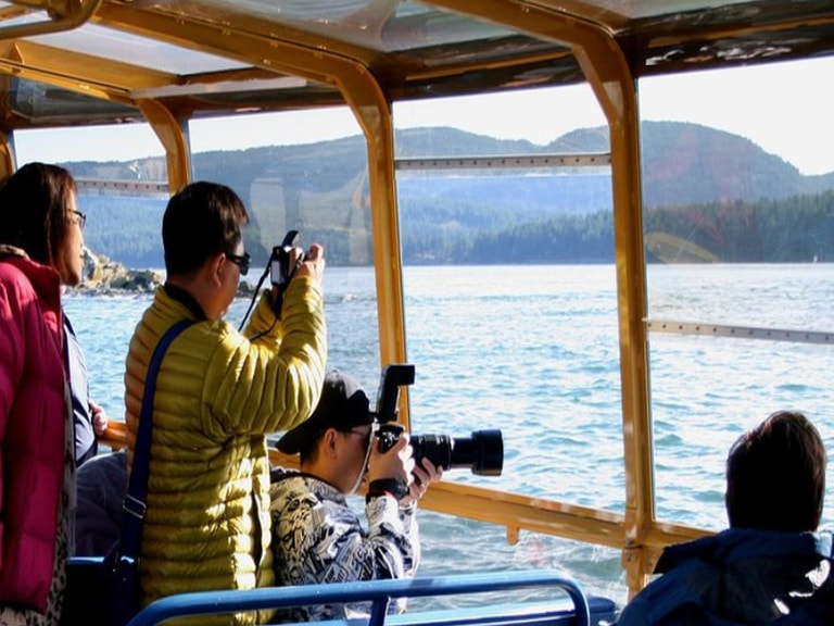 Whale Watching From Vancouver -1