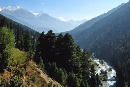 Aru Valley