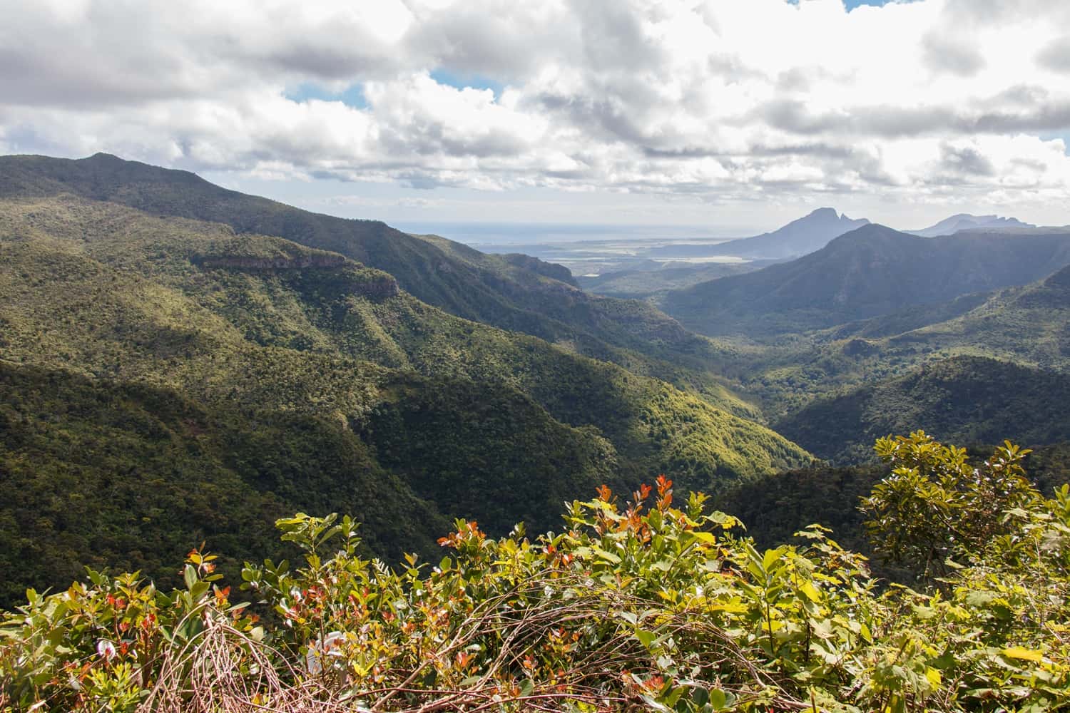 Black River Gorges National Park in Africa Super Seller Packages