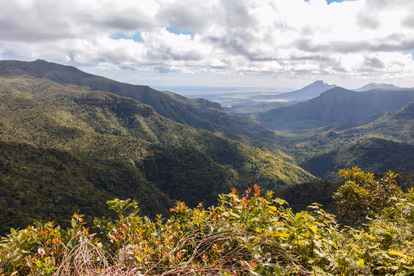 Black River Gorges National Park