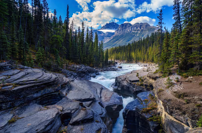 Go hiking to Black river Peak