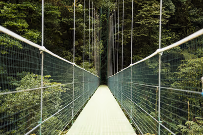 Capilano Suspension Bridge