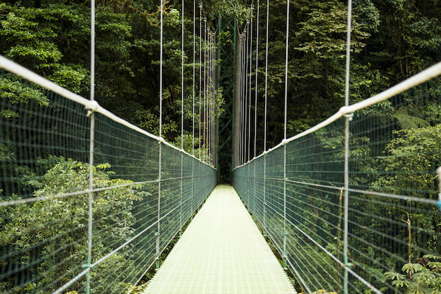 Capilano Suspension Bridge