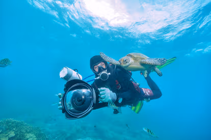Experience Water Sports like Scuba Diving, Snorkeling and Surfing