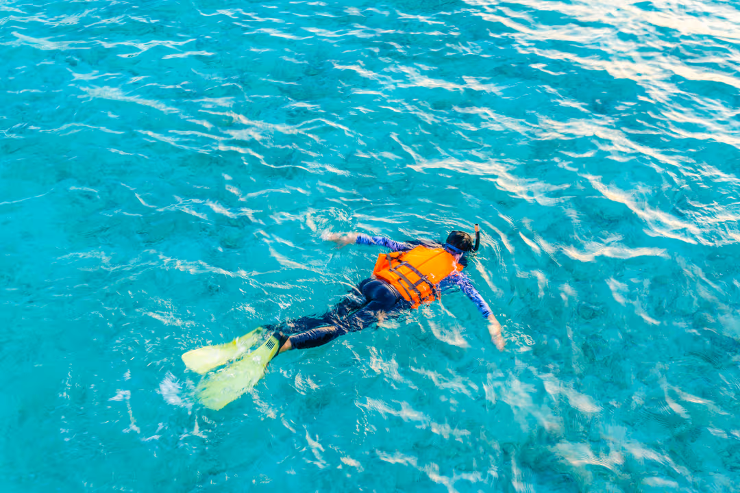 Experience Water Sports like Scuba Diving, Snorkeling and Surfing