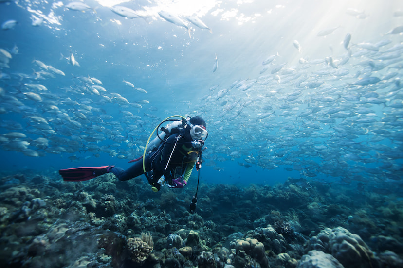 Go Snorkelling And Scuba Diving