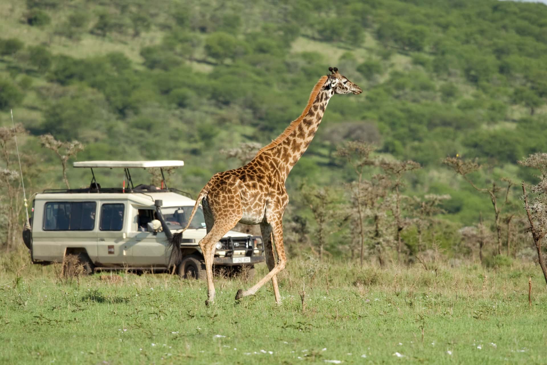 Enjoy Jeep safari at Nairobi National Park in Kenya Luxury Hotel Deals