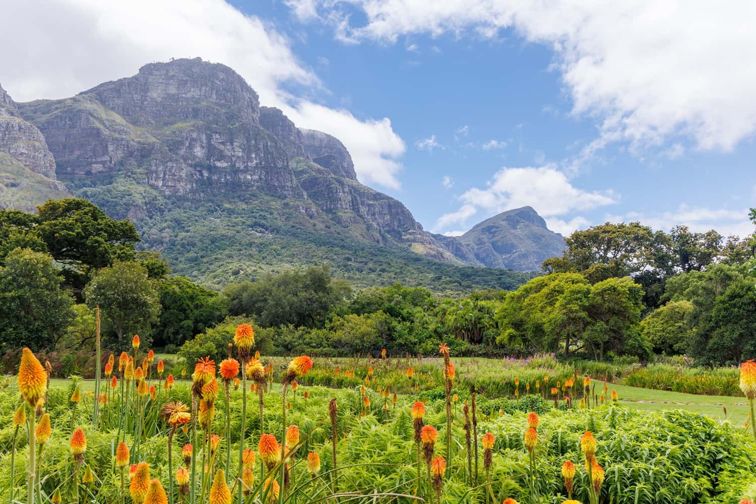 Kirstenbosch Botanical Garden in Africa Super Seller Packages
