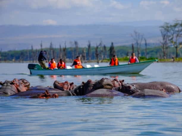 Go Boating at Lake Naivasha in Kenya Luxury Hotel Deals