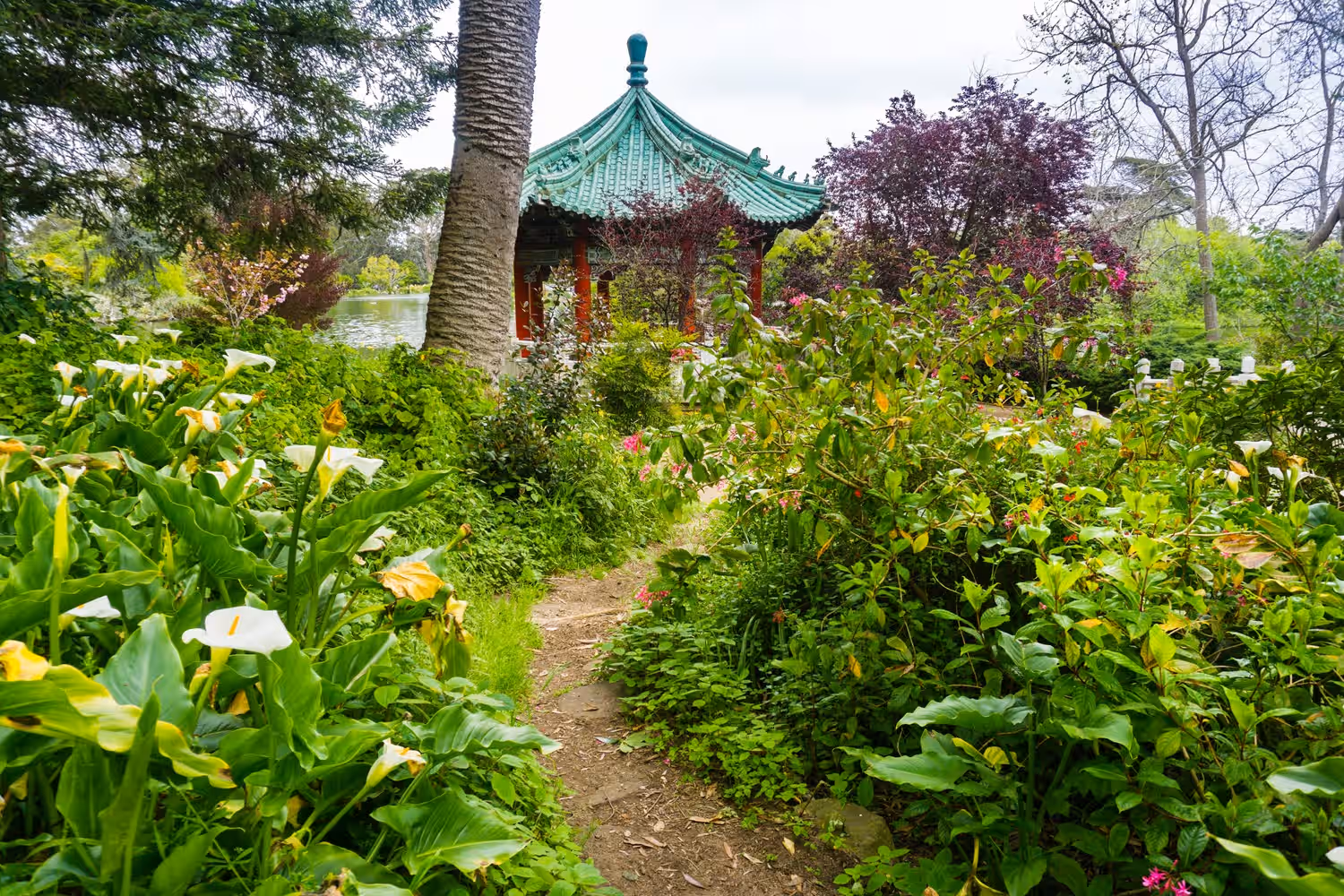 Learn About Spices At A Spice Garden in Sri Lanka Luxury Hotel Deals