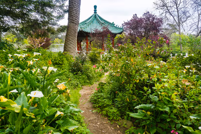Learn About Spices At A Spice Garden