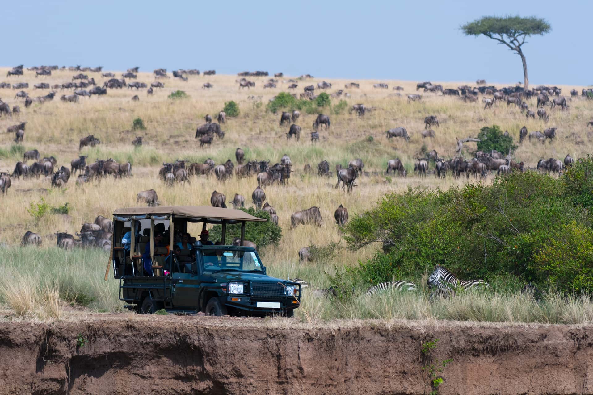 Masai Mara Game Drive in Kenya Luxury Hotel Deals