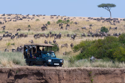 Masai Mara Game Drive