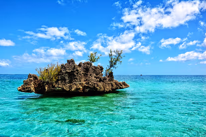 North Island
