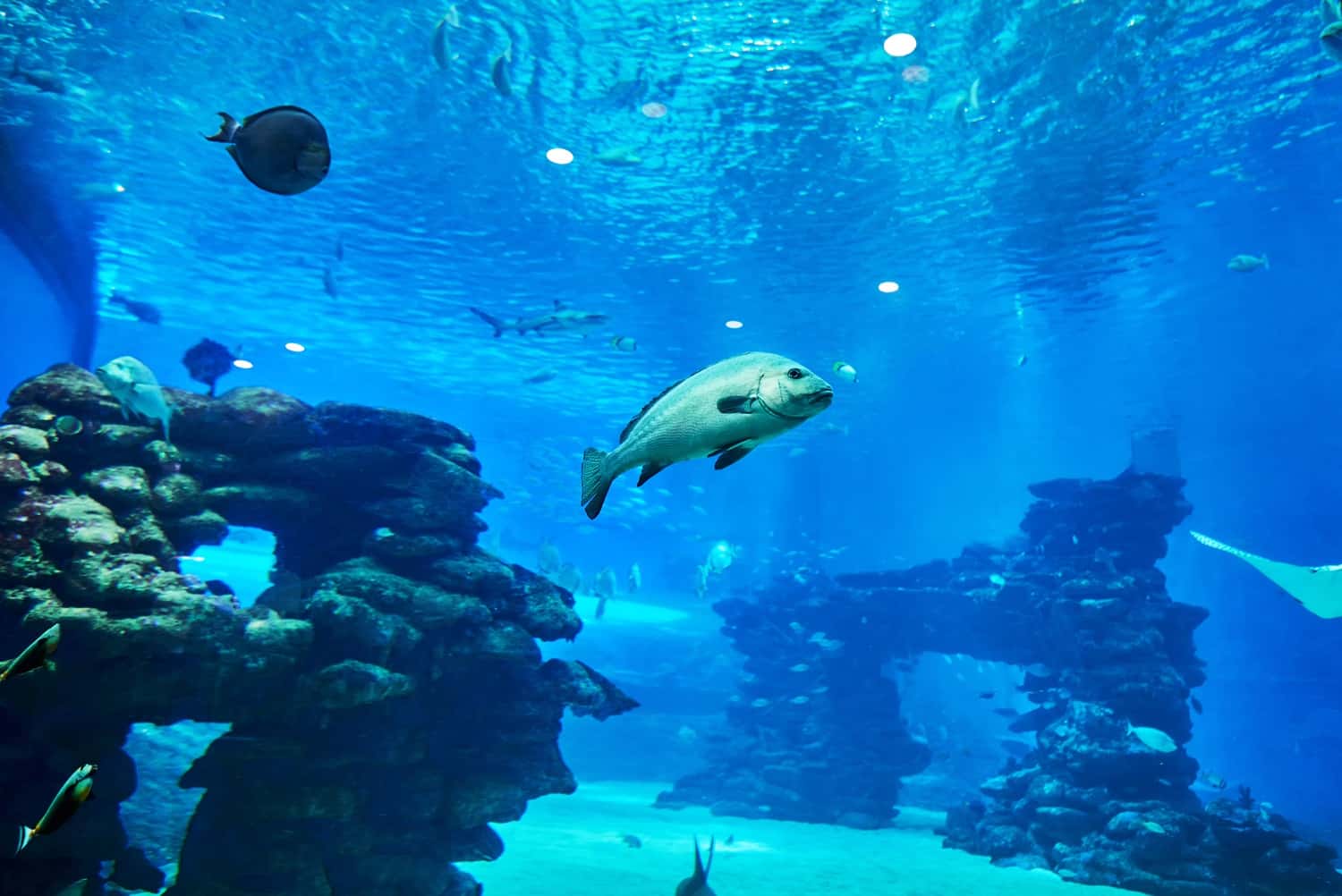 Ocean Kingdom Park in China Honeymoon Tours