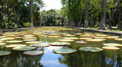 Pamplemousses Botanical Garden