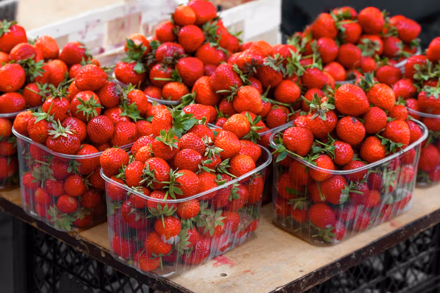 Relish Strawberries At Adma Agro Farm in Sri Lanka Luxury Hotel Deals