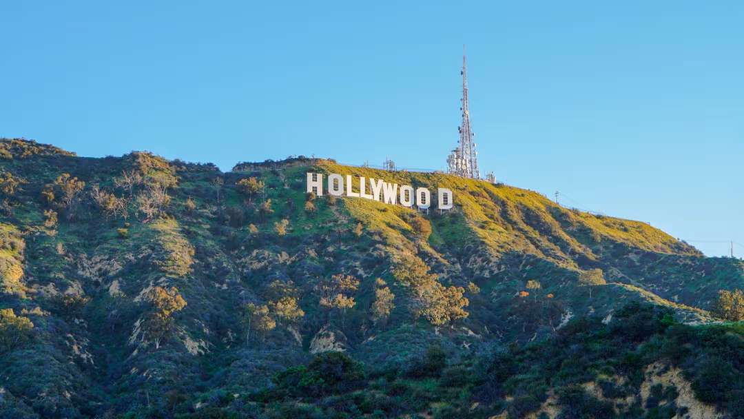 Say hello to Hollywood