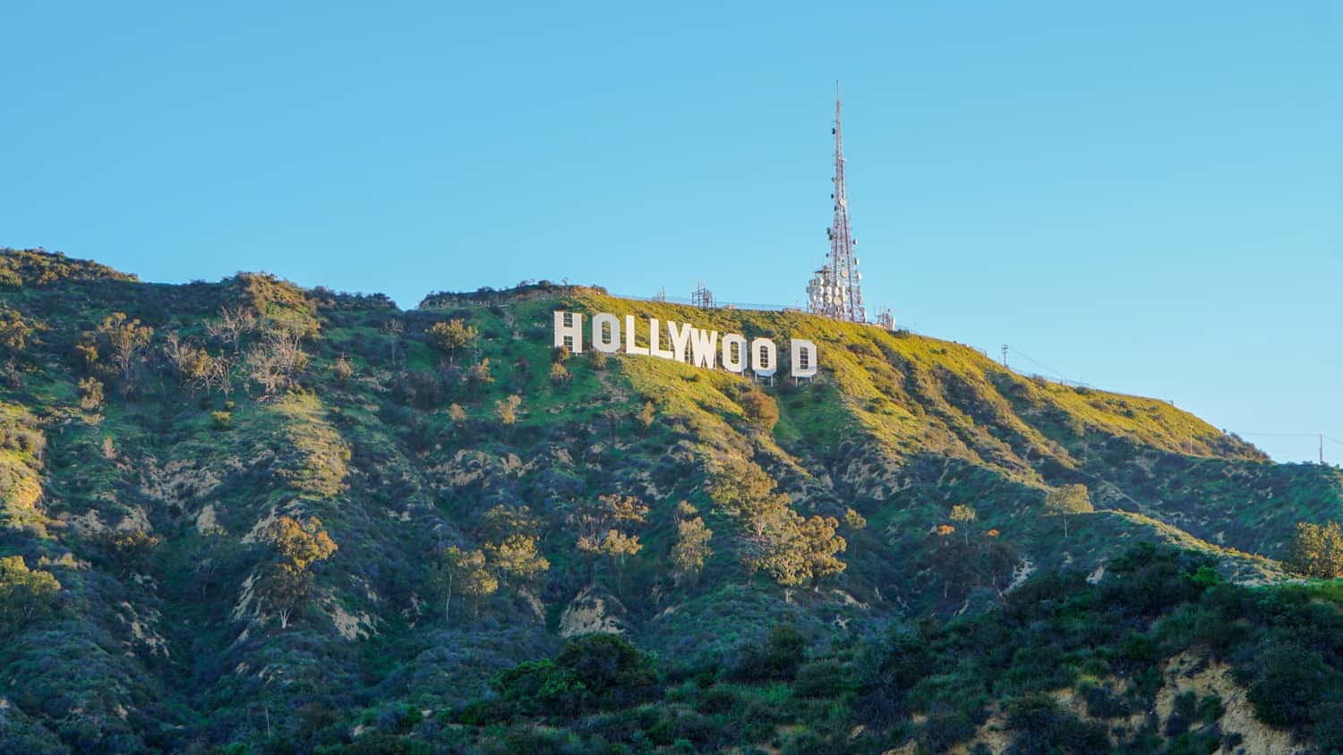 Say hello to Hollywood in America Cruise