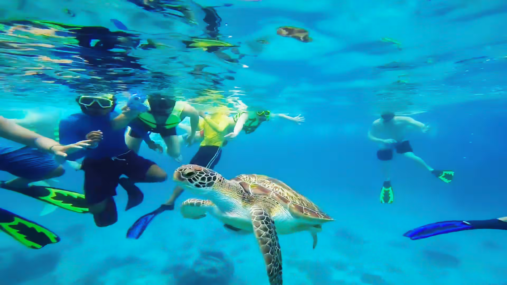 Snorkel At Turtle Bay in Sri Lanka Luxury Hotel Deals