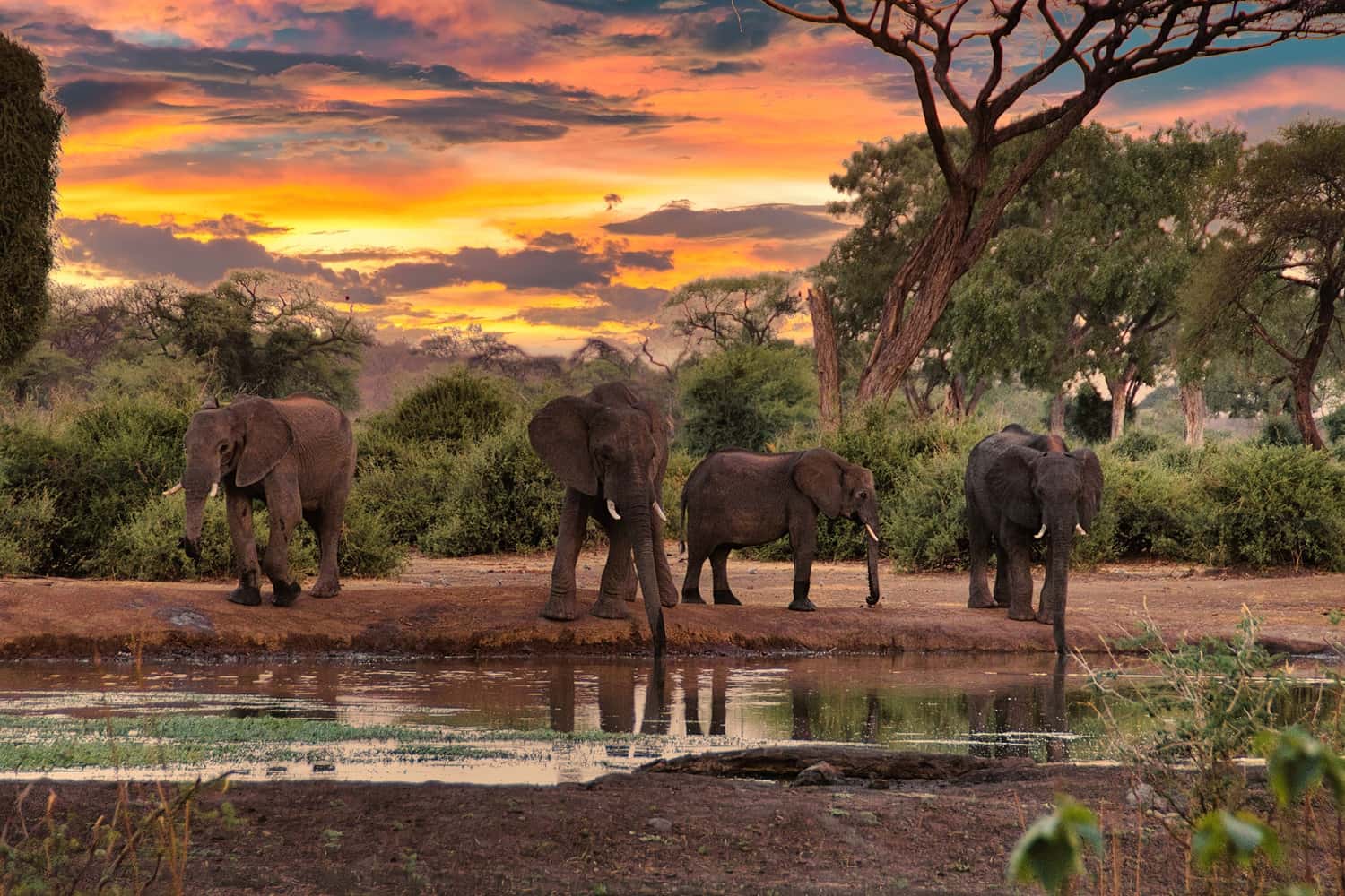 Suncity resort in Africa Super Seller Packages