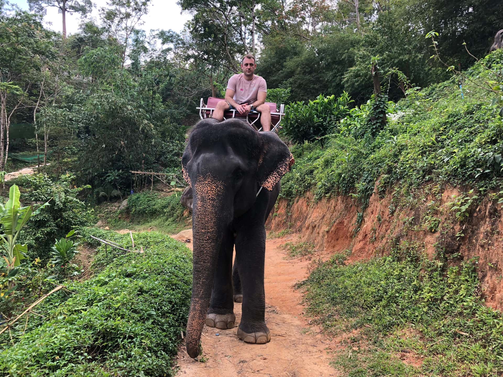 Take An Elephant Ride in Sri Lanka Luxury Hotel Deals