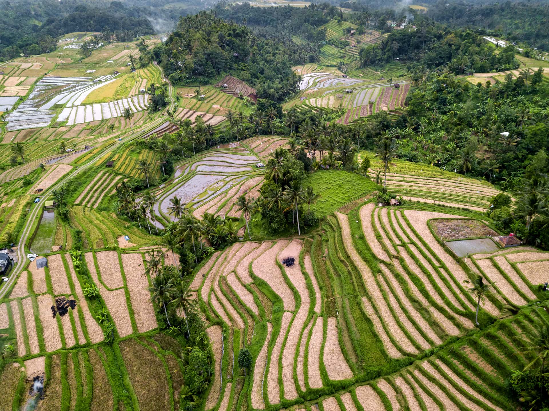 Discover UNESCO Classified Jatiluwih Rice Terrace in Bali Tour Packages from Mumbai