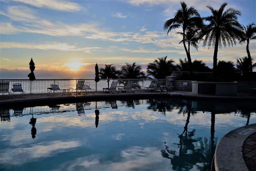 Visit the Venetian Pool