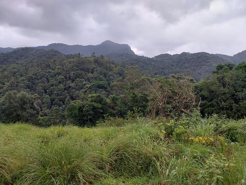 Wayanad