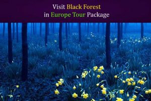 Black Forest Cakes, Lake Titisee, Cuckoo Clocks and Breathtaking Beauty on your Europe Tour