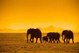 Reasons Why South Africa Should Be On The Top Of Your Bucket-list
