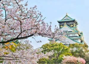 From Mt. Fuji to Tokyo Tower: 7 Reasons to Visit Japan in 2025!