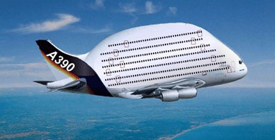 Domestic tour packages