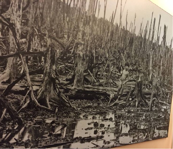 Vietnam tour packages