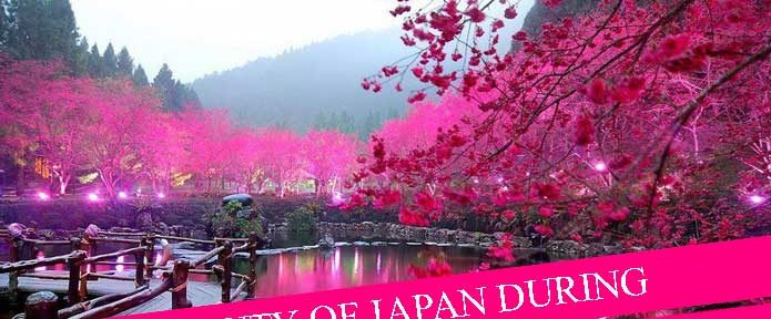 Enjoy the Beautiful Cherry Blossom on Your Japan Holiday in April