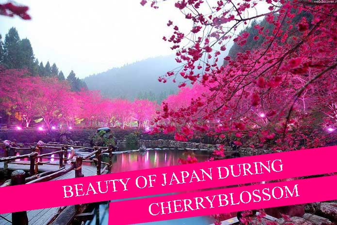 Enjoy the Beautiful Cherry Blossom on Your Japan Holiday in April