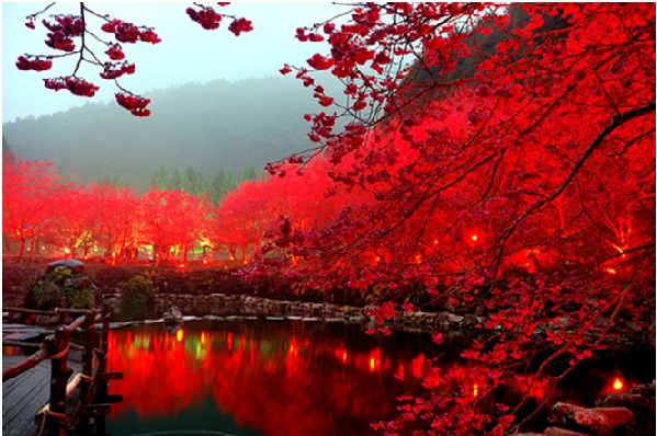 Japan holiday packages