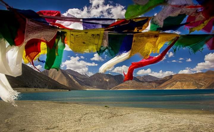 Domestic tour packages