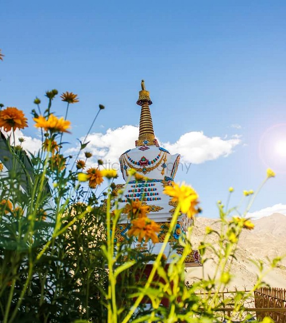 Leh Ladakh packages