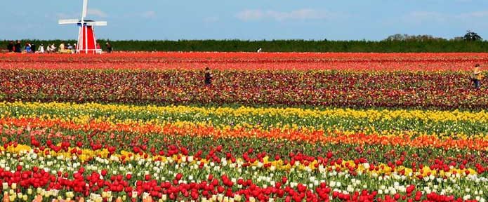 Things To Do In Delhi