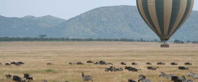 The Great Wildebeest Migration – One Of The Seven Natural Wonders Of The World