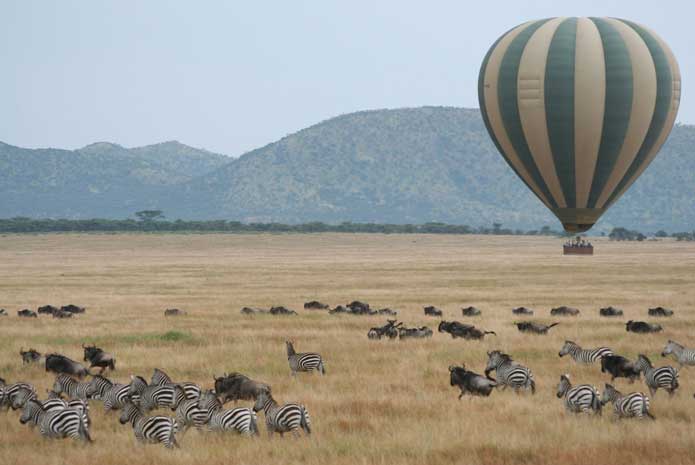 The Great Wildebeest Migration – One Of The Seven Natural Wonders Of The World