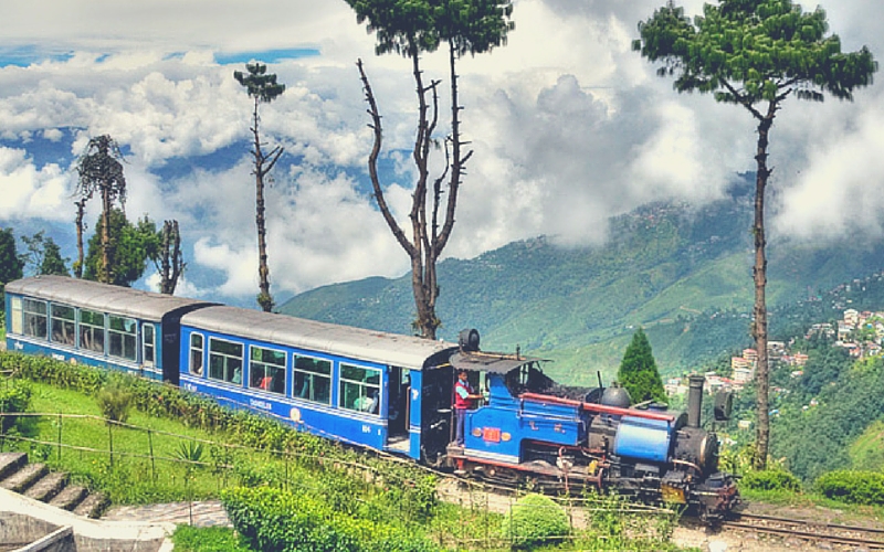Darjeeling Tour Packages with Flamingo Travels