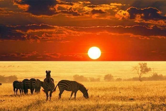 7 Gems of Experiences to Adorn Your South Africa Tour!